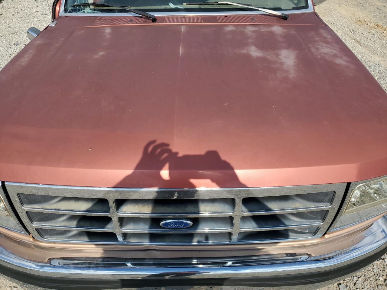 1994 Ford F150 VIN: 1FTEF15N6RNB55084 Lot: 60722814