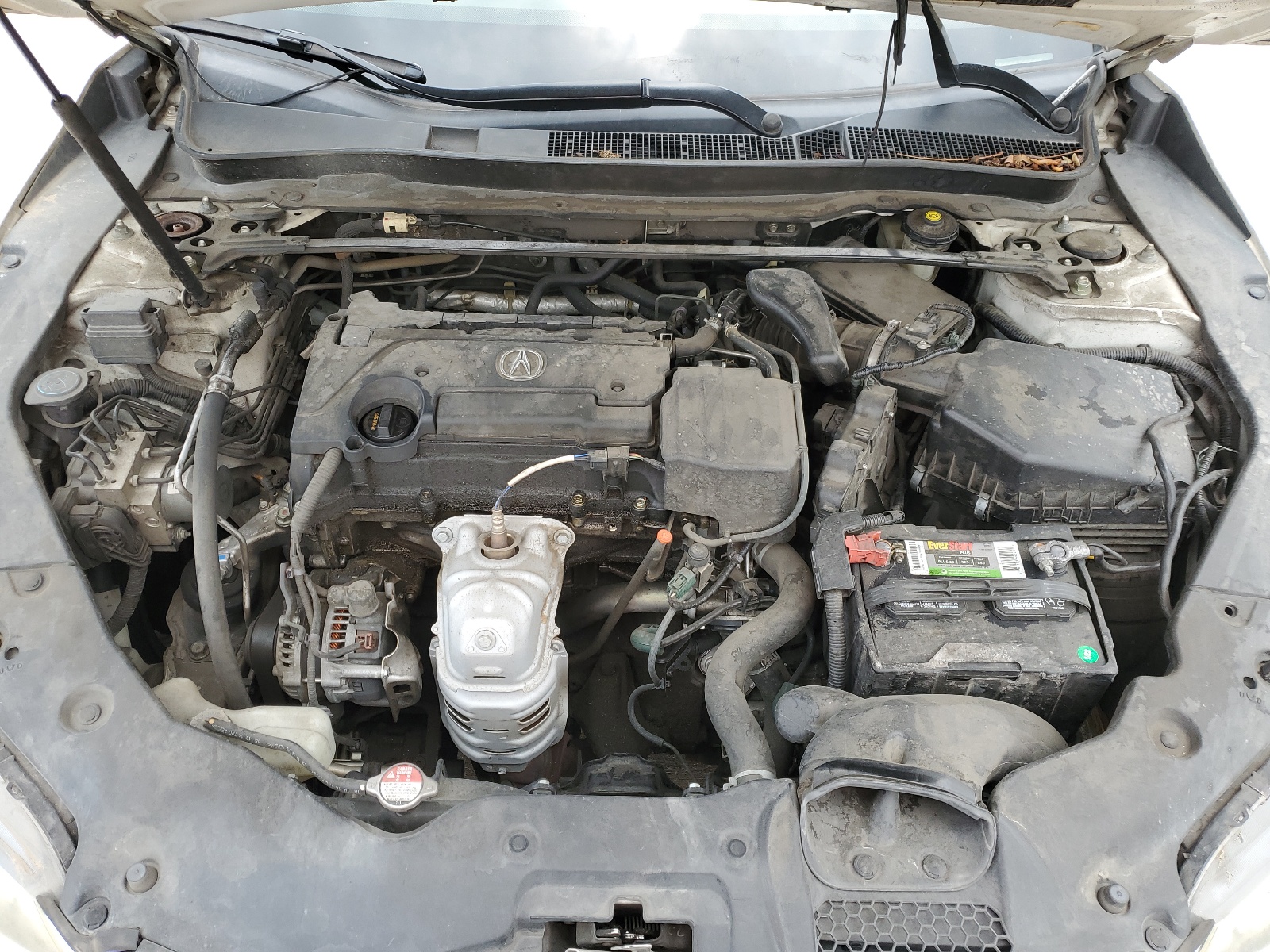 19UUB1F36FA017506 2015 Acura Tlx