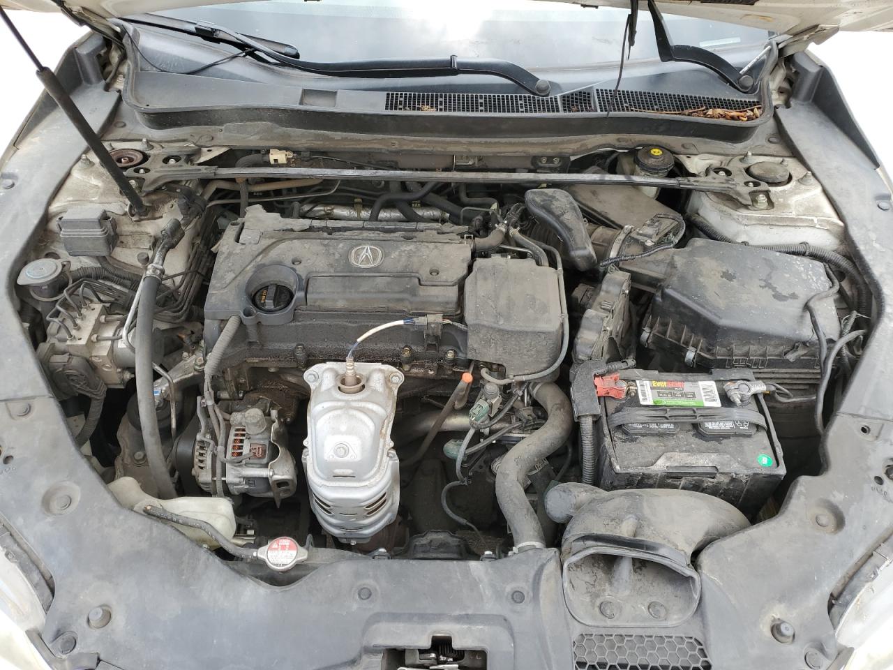 2015 Acura Tlx VIN: 19UUB1F36FA017506 Lot: 57554554