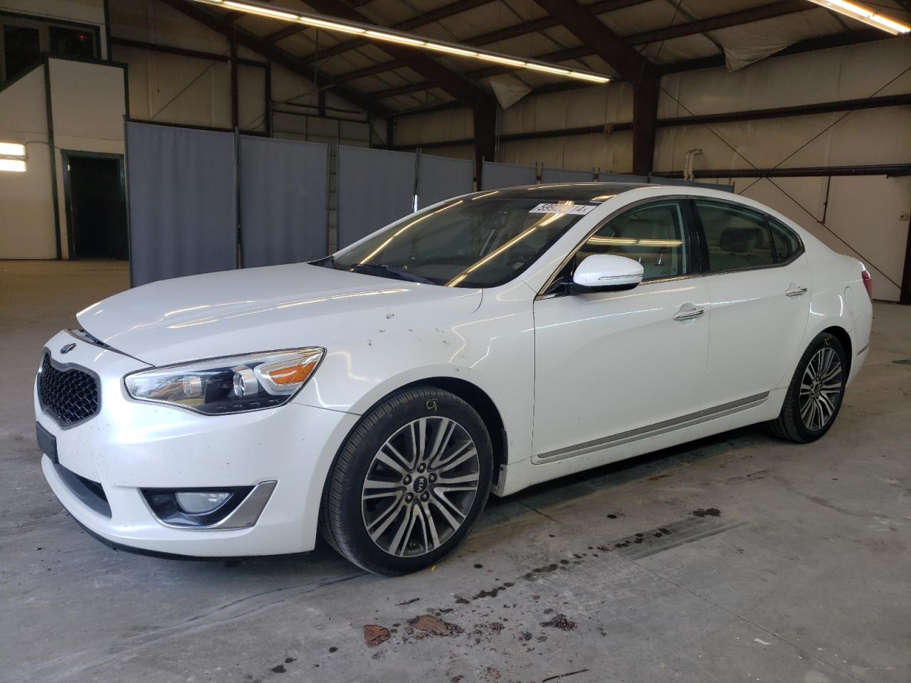 2014 Kia Cadenza Premium VIN: KNALN4D76E5161991 Lot: 59928214