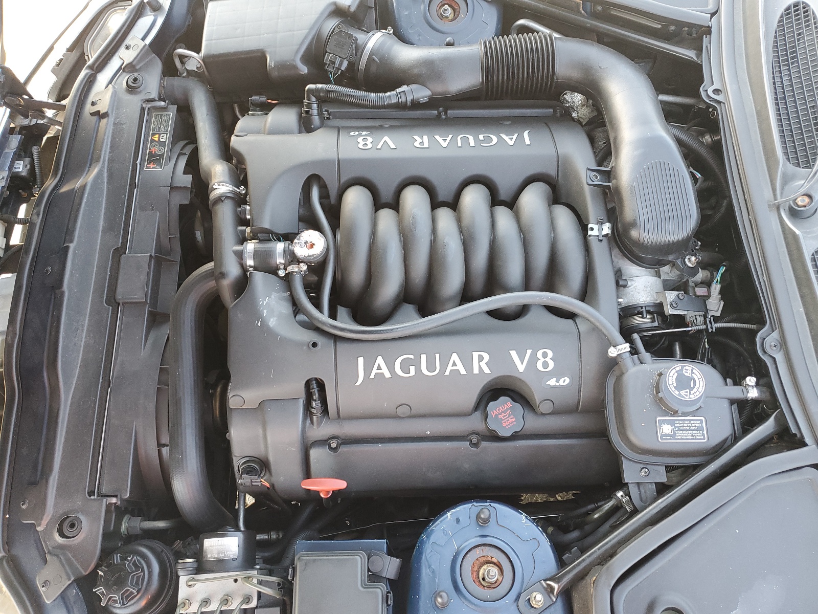 SAJJA42C2YNA02691 2000 Jaguar Xk8