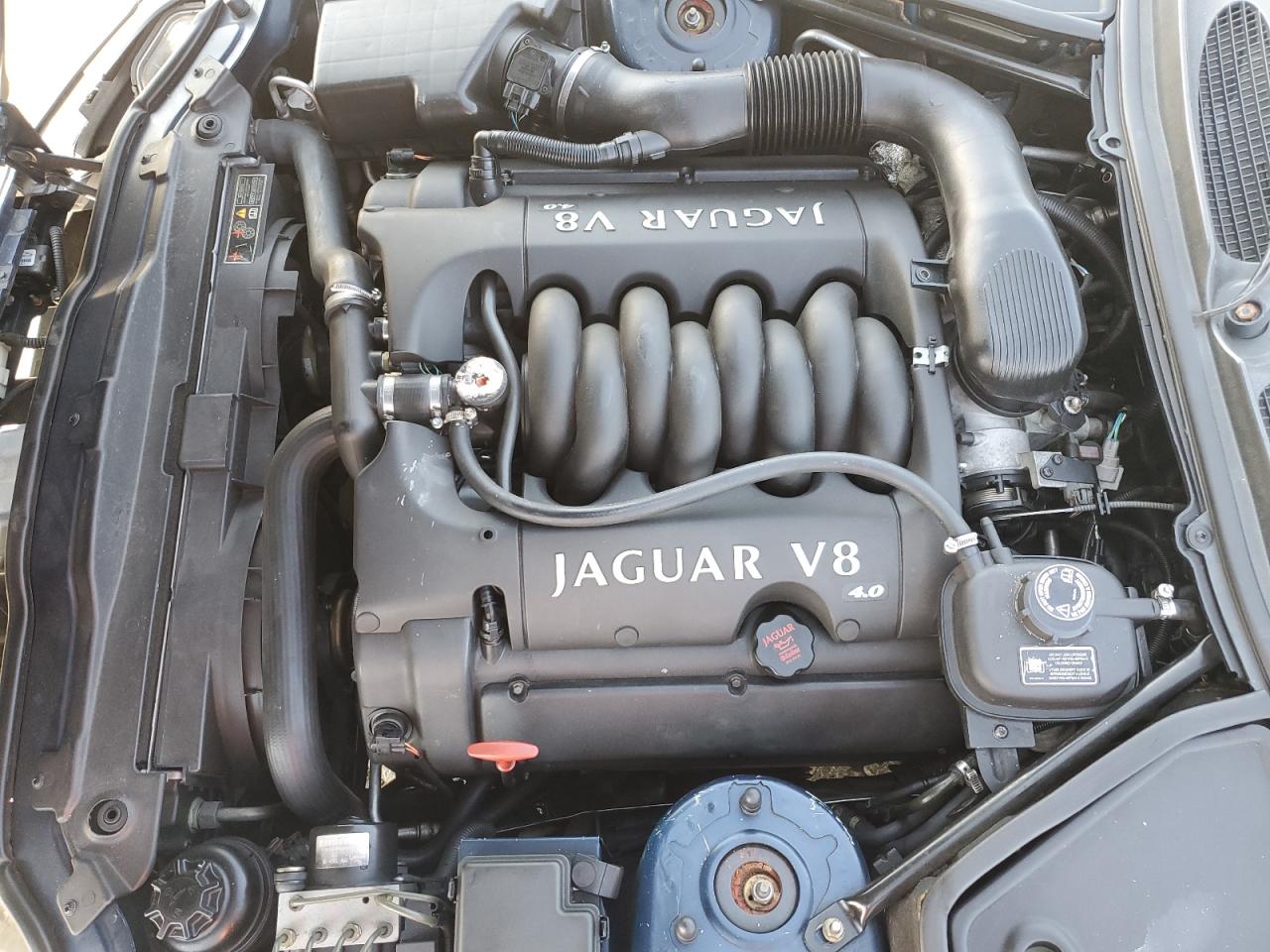 2000 Jaguar Xk8 VIN: SAJJA42C2YNA02691 Lot: 59496524