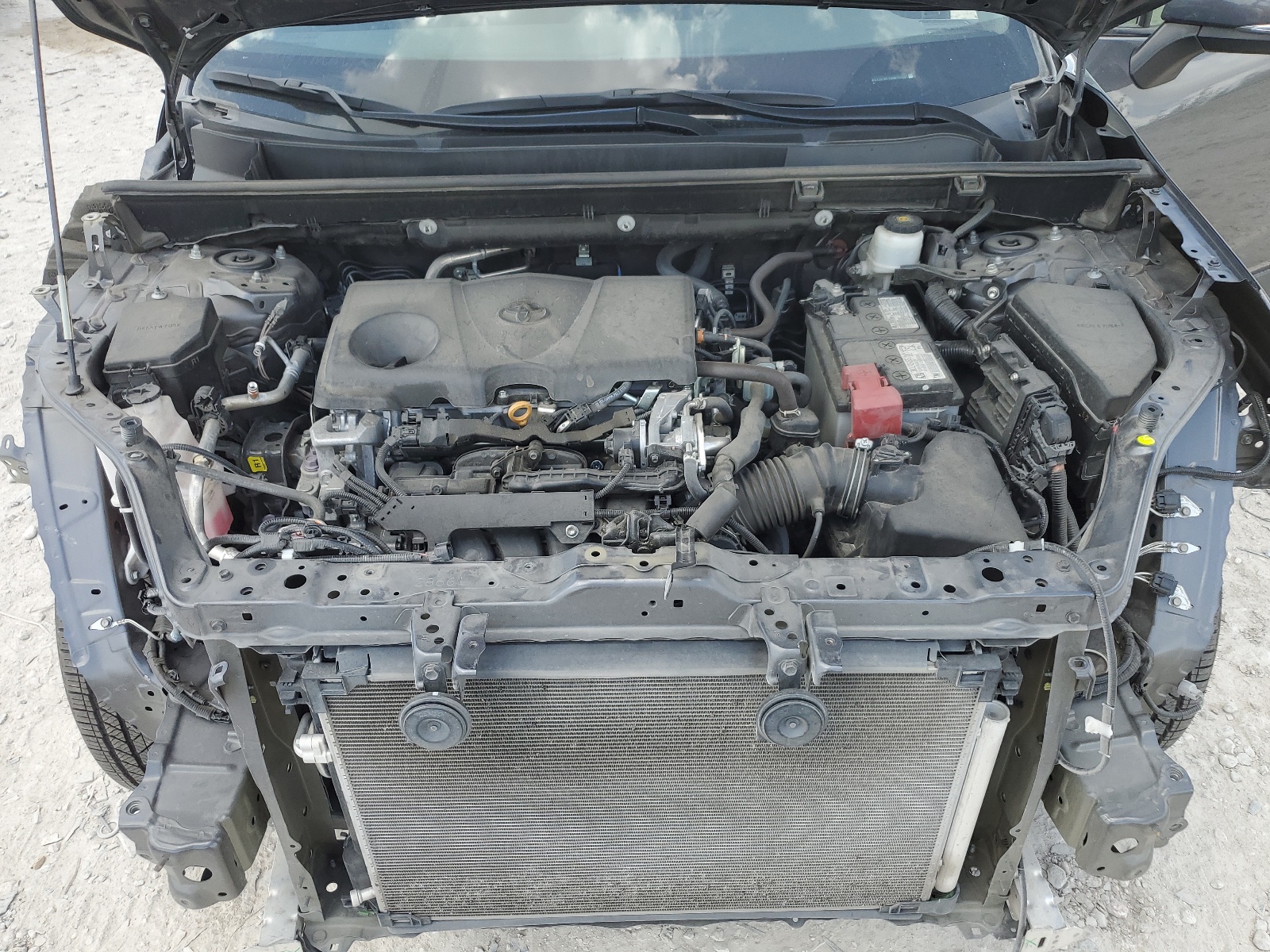 2T3C1RFV5MW156201 2021 Toyota Rav4 Xle Premium