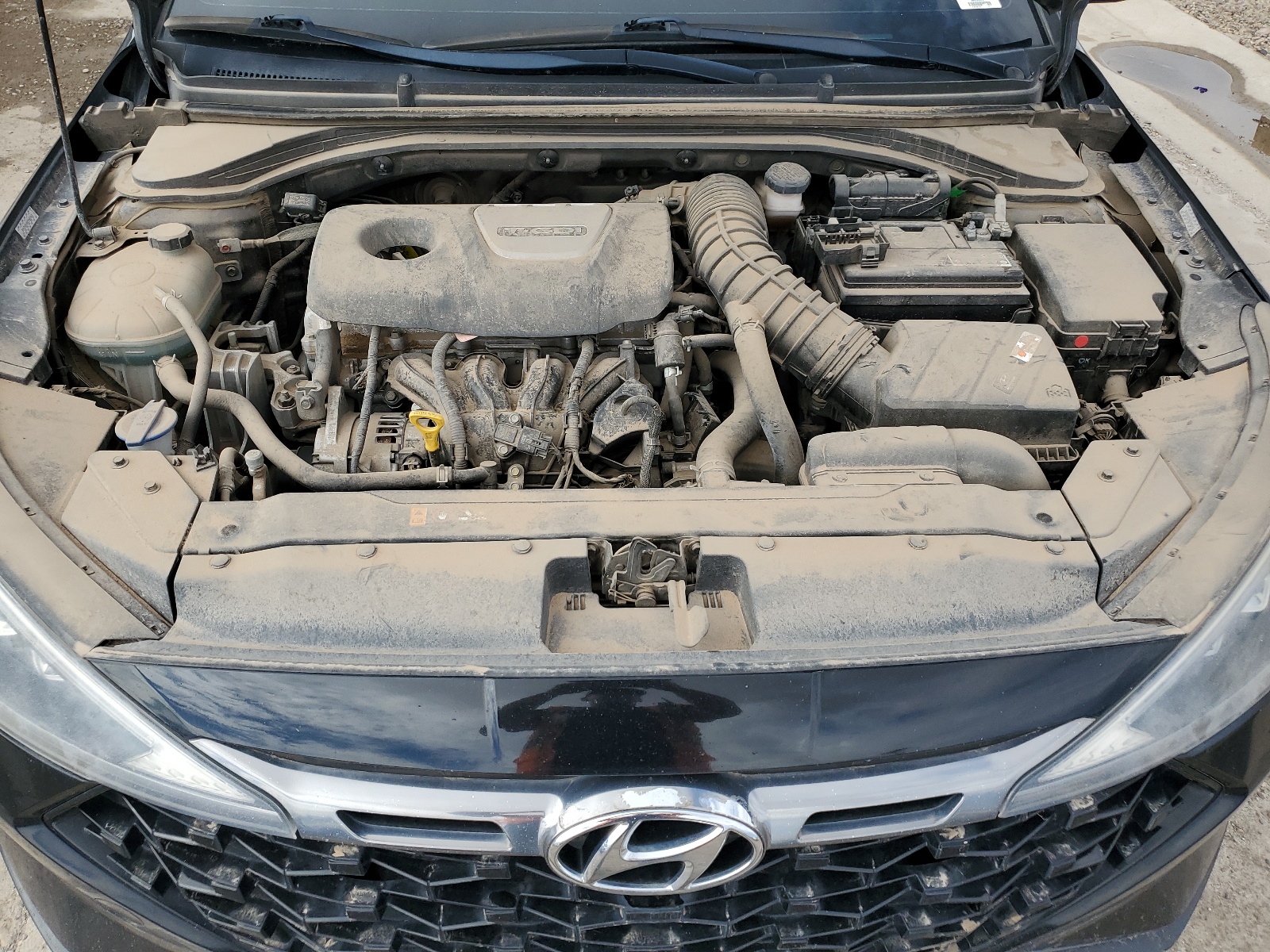 KMHD04LB0KU842446 2019 Hyundai Elantra Sport