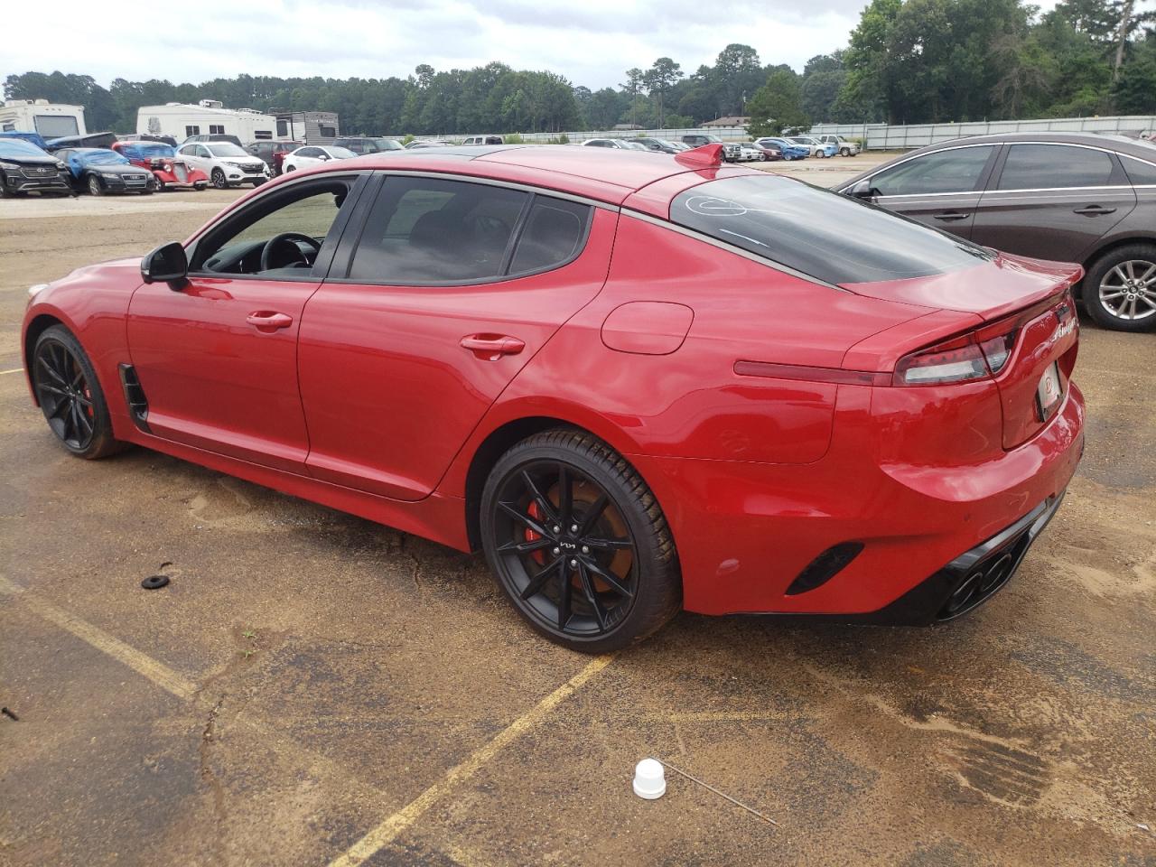 2023 Kia Stinger Gt2 VIN: KNAE55LC6P6129441 Lot: 56959774