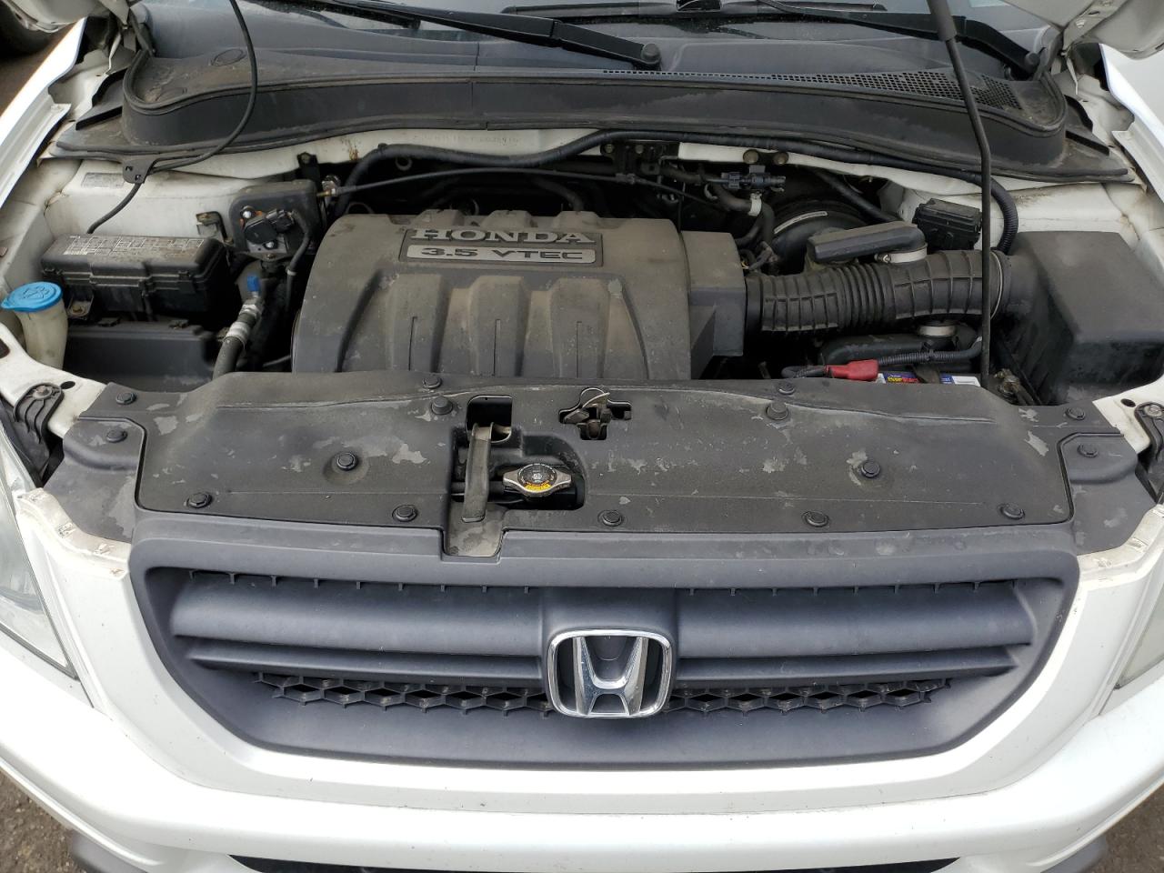 2005 Honda Pilot Exl VIN: 5FNYF18595B032915 Lot: 59482944