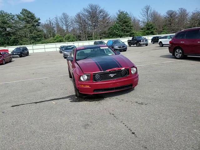 2007 Ford Mustang VIN: 1ZVFT80N475210736 Lot: 58784554