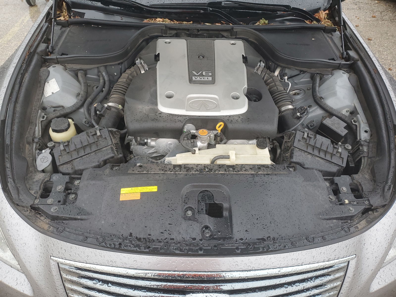 JNKCV64EX8M102593 2008 Infiniti G37 Base