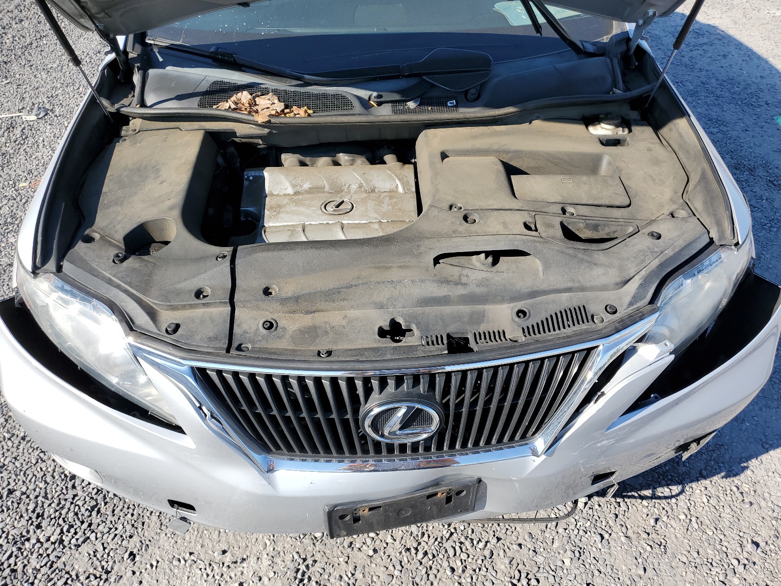 2T2BK1BA5AC016762 2010 Lexus Rx 350