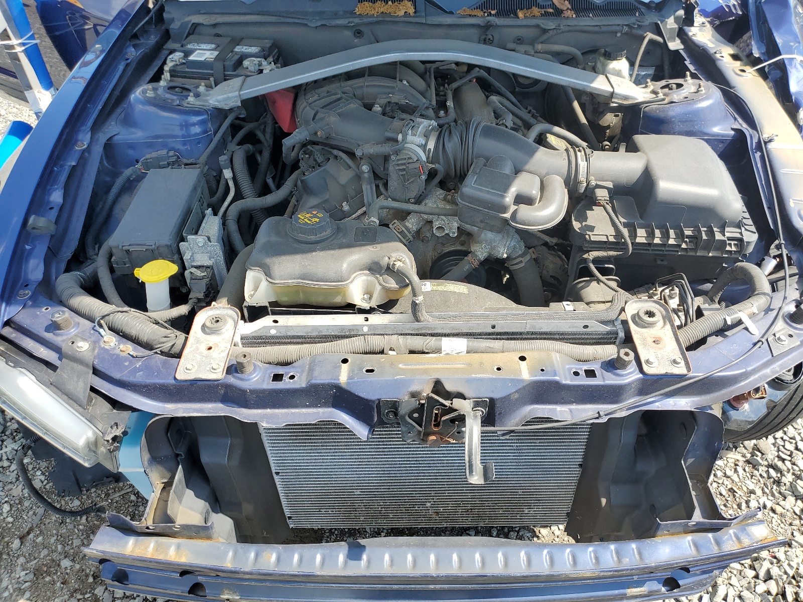 1ZVBP8EM5C5218437 2012 Ford Mustang