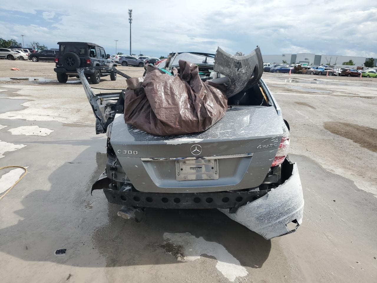 2010 Mercedes-Benz C 300 4Matic VIN: WDDGF8BB9AR125964 Lot: 60382494