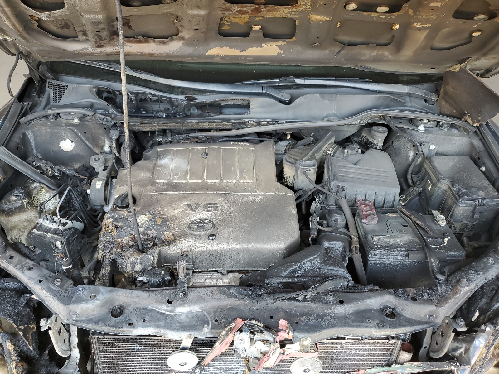 4T3ZK3BB1BU036473 2011 Toyota Venza