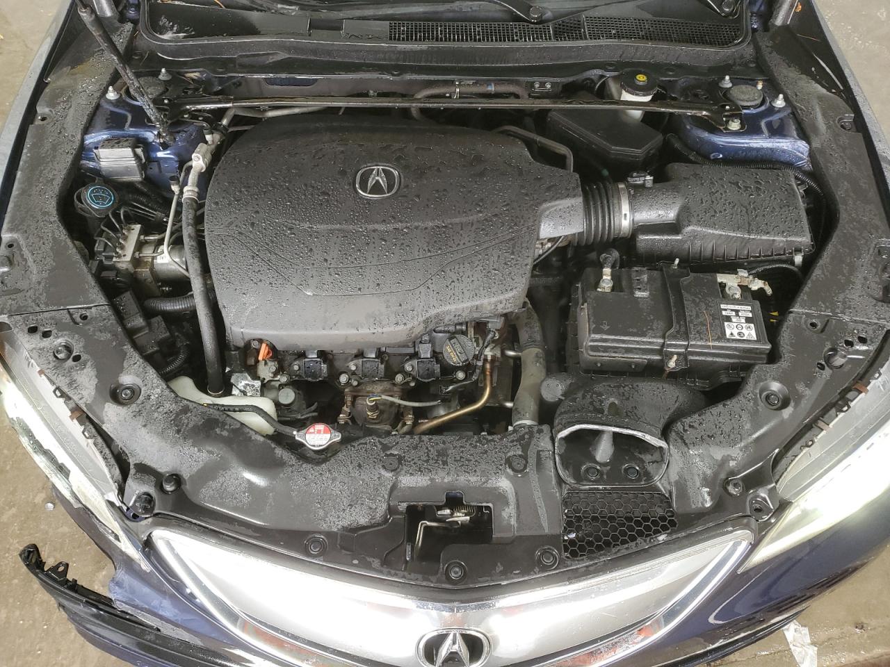 2015 Acura Tlx VIN: 19UUB2F34FA024492 Lot: 60856194