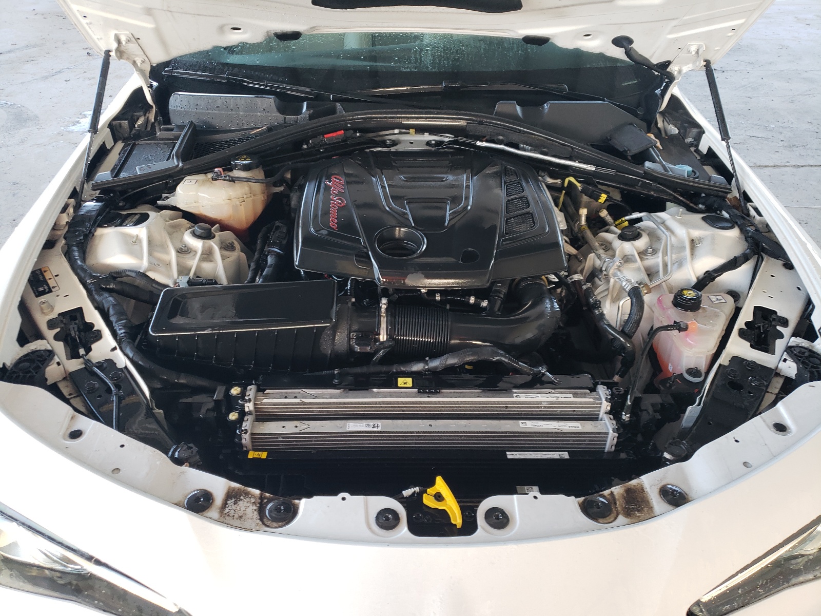 ZARFAMAN5K7619430 2019 Alfa Romeo Giulia