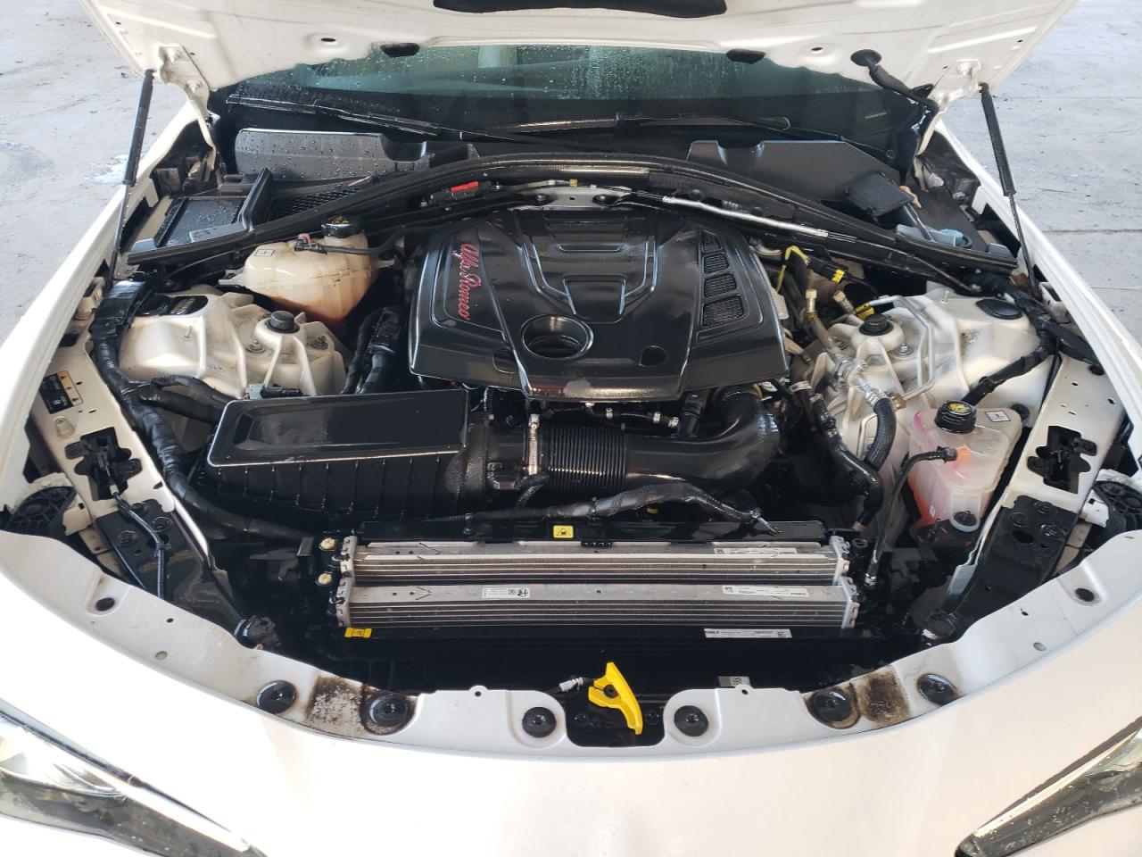 2019 Alfa Romeo Giulia VIN: ZARFAMAN5K7619430 Lot: 59622214