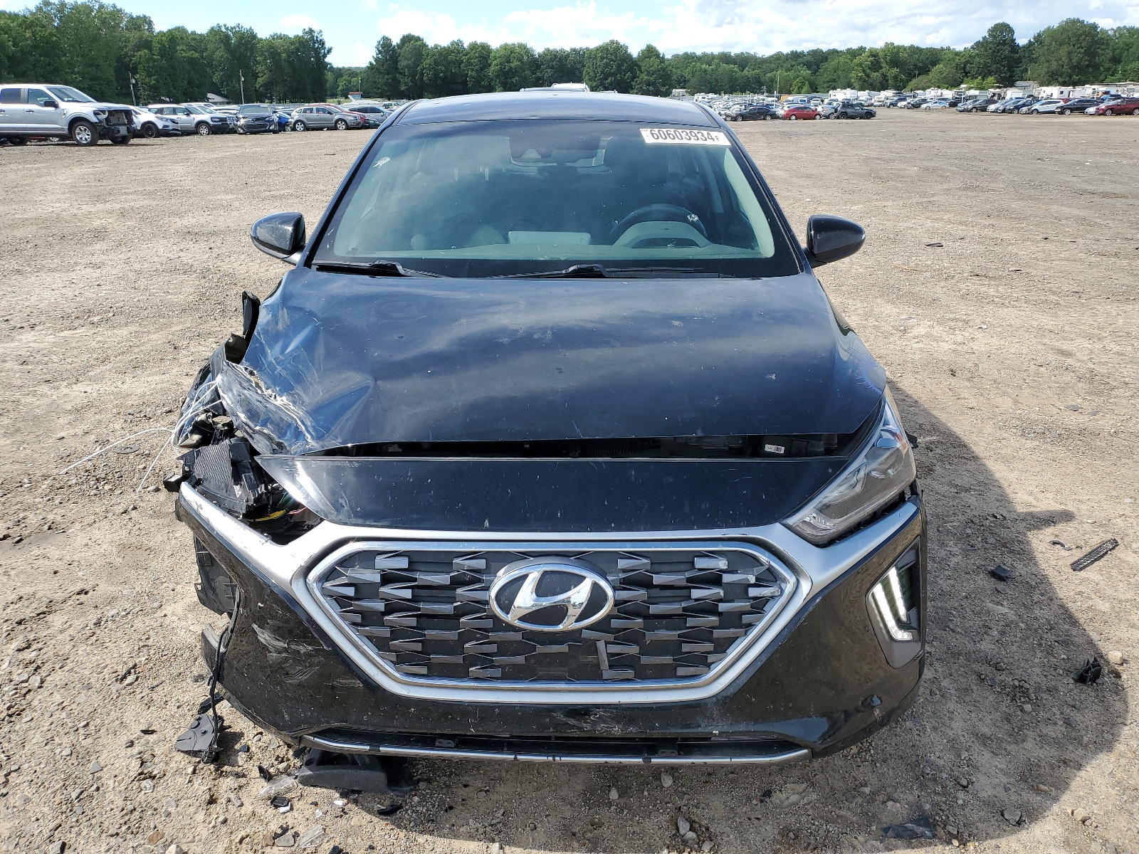 KMHC75LC3LU189196 2020 Hyundai Ioniq Se