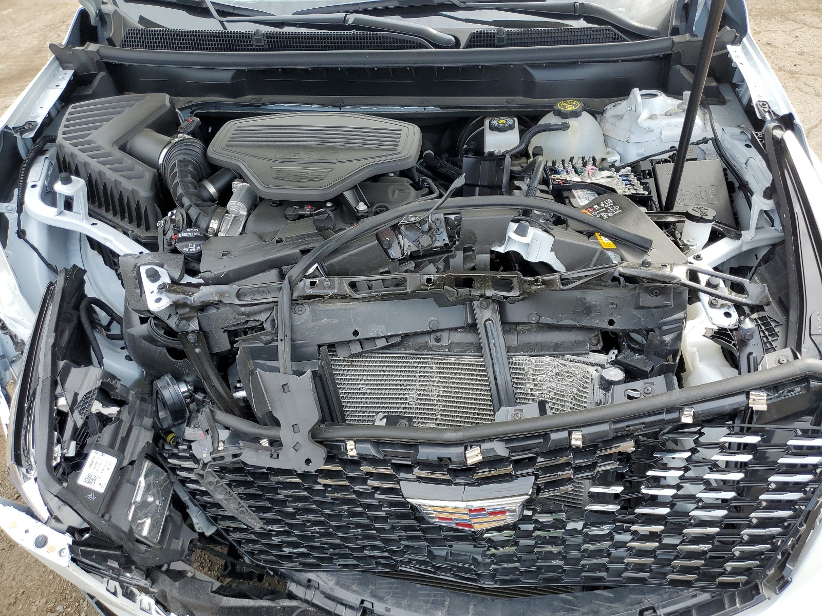 1GYKNDRS5RZ708317 2024 Cadillac Xt5 Premium Luxury