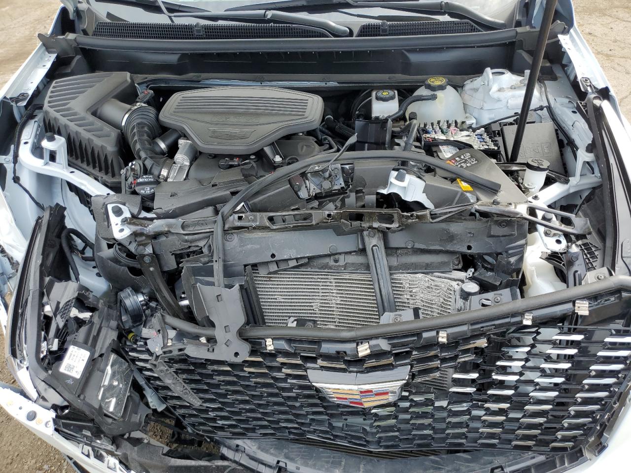 2024 Cadillac Xt5 Premium Luxury VIN: 1GYKNDRS5RZ708317 Lot: 59027224