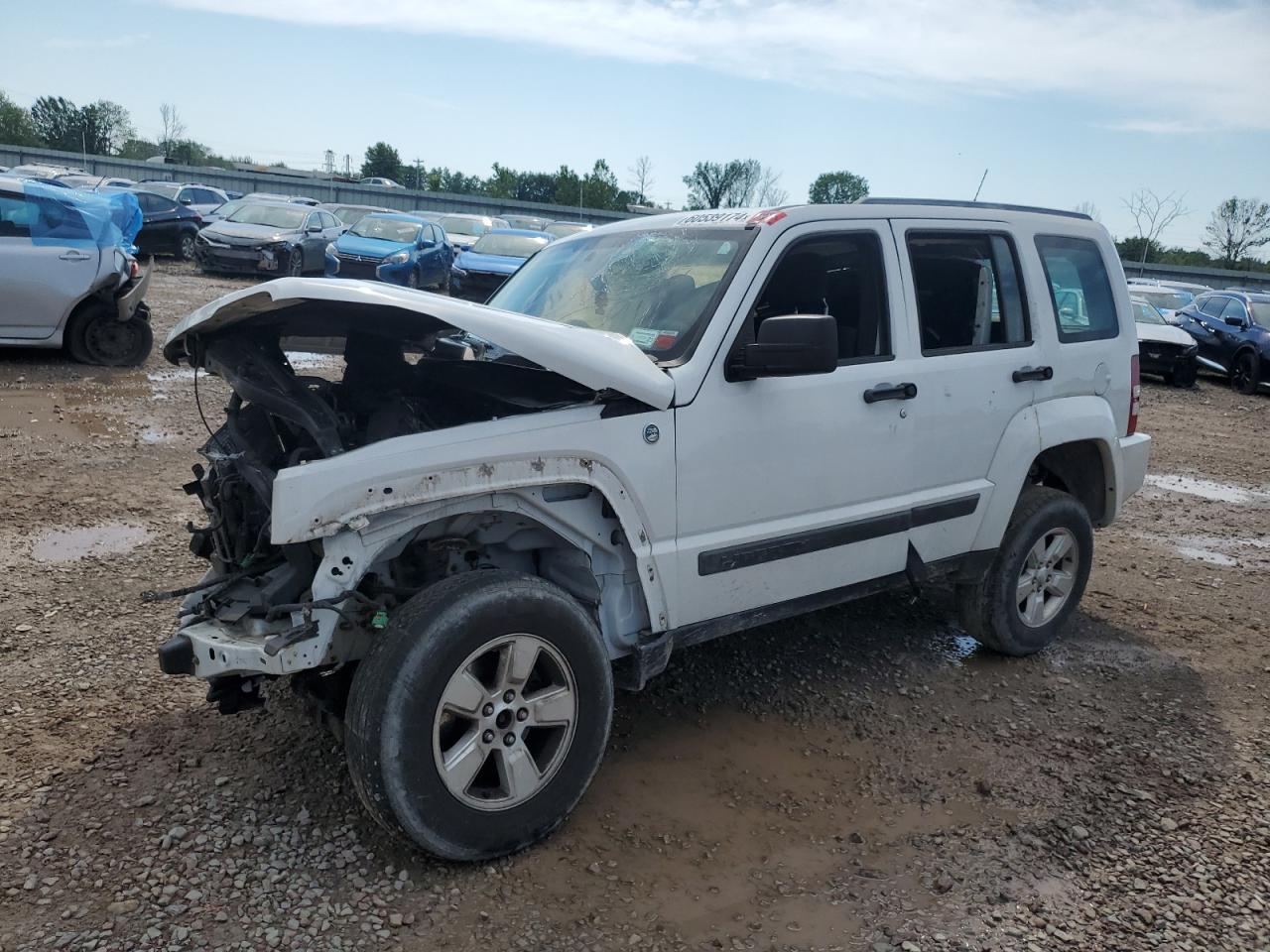 1J4PN2GK6BW569156 2011 Jeep Liberty Sport