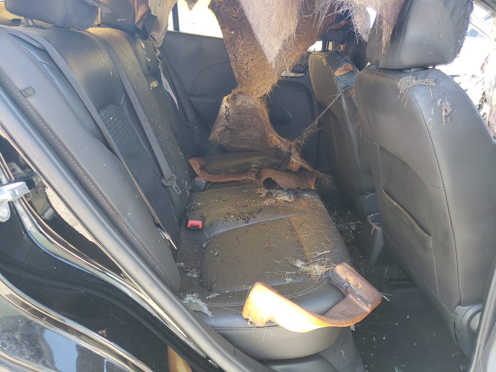 1G1JF5SB1L4114108 2020 Chevrolet Sonic Premier