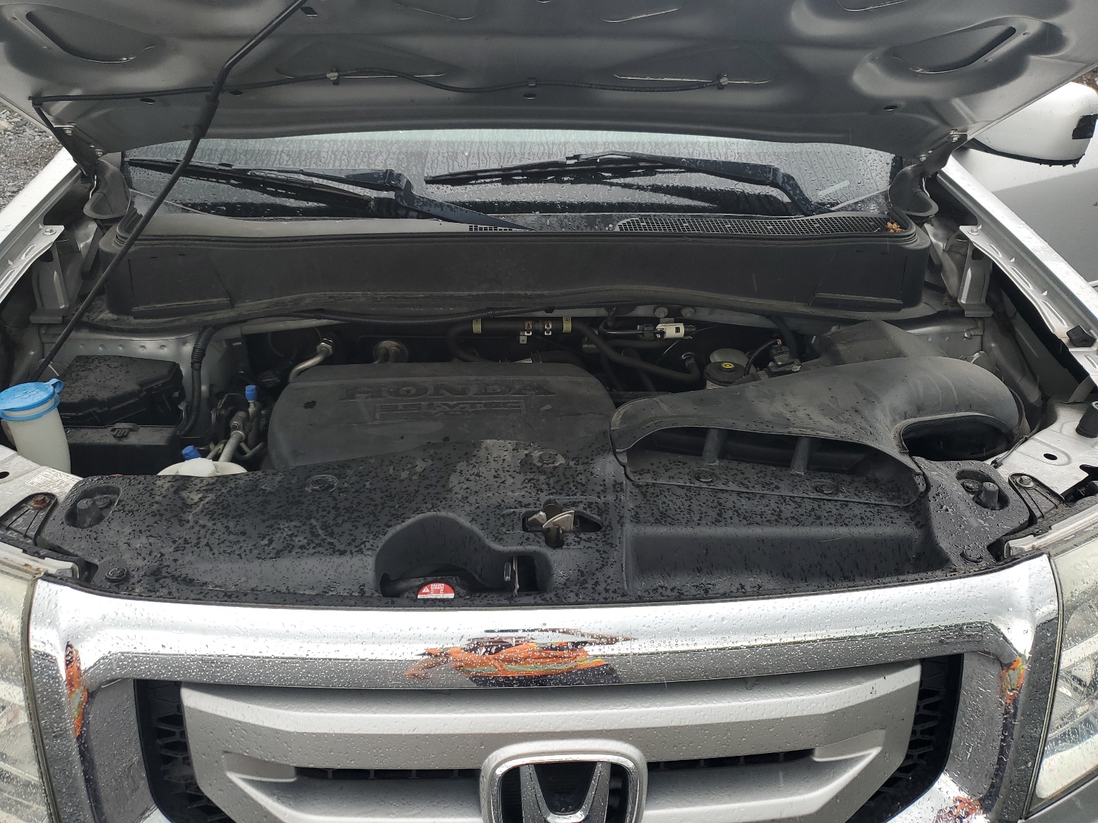 5FNYF4H42BB074878 2011 Honda Pilot Ex