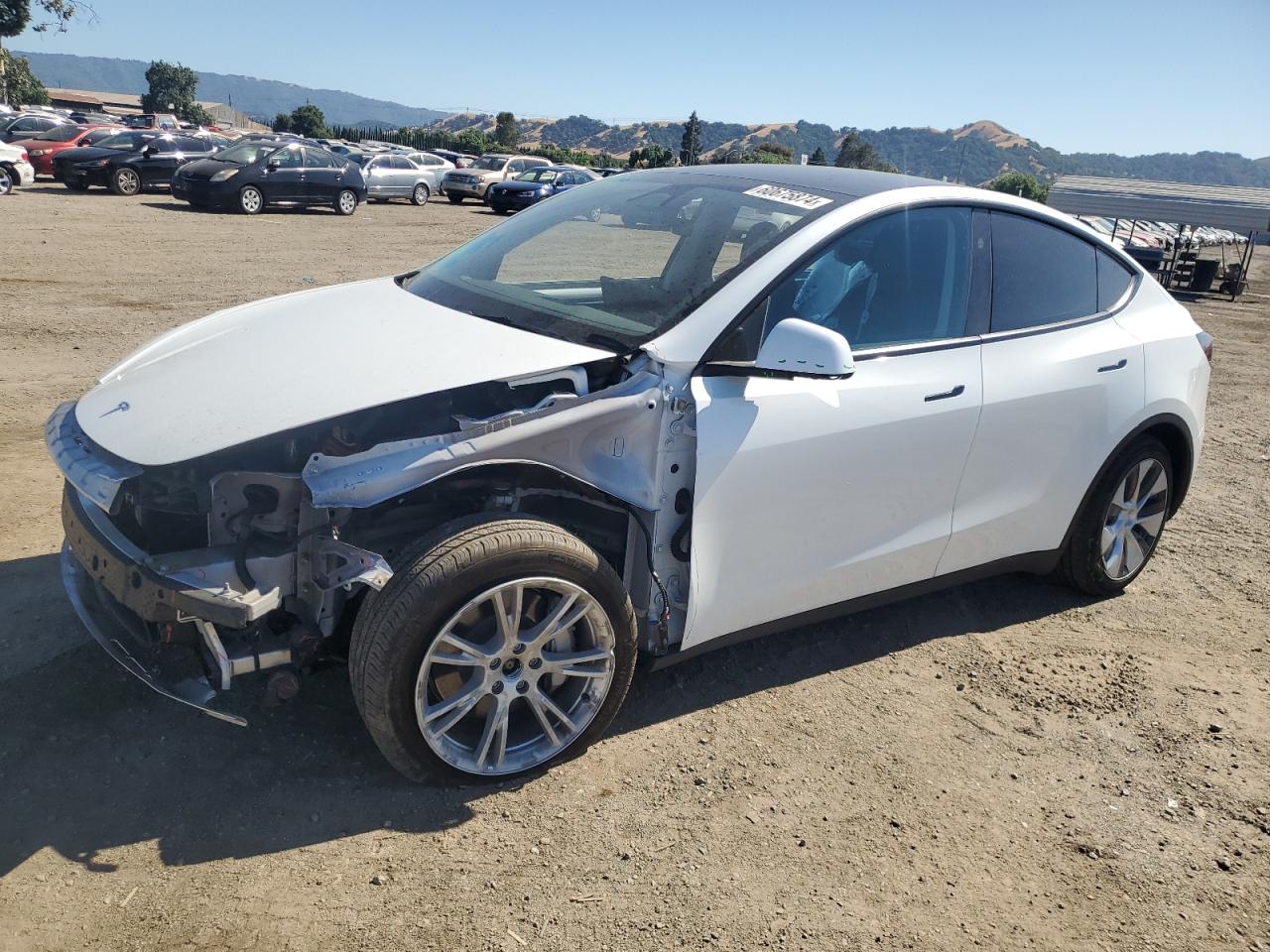 7SAYGDEE8PF823686 2023 TESLA MODEL Y - Image 1