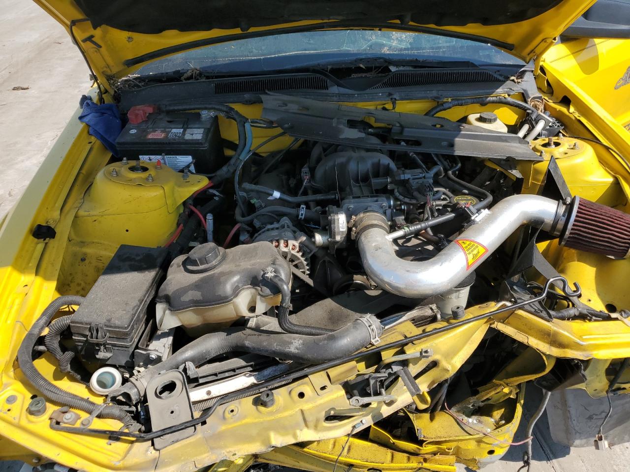 2006 Ford Mustang VIN: 1ZVFT80N265120967 Lot: 59036734