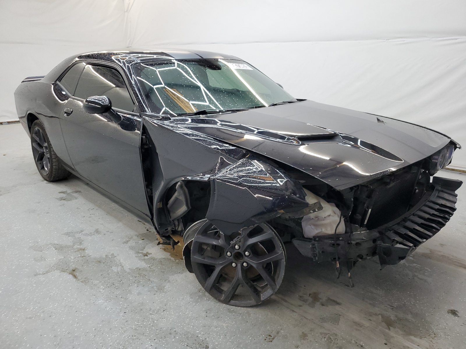 2C3CDZAG9KH557431 2019 Dodge Challenger Sxt