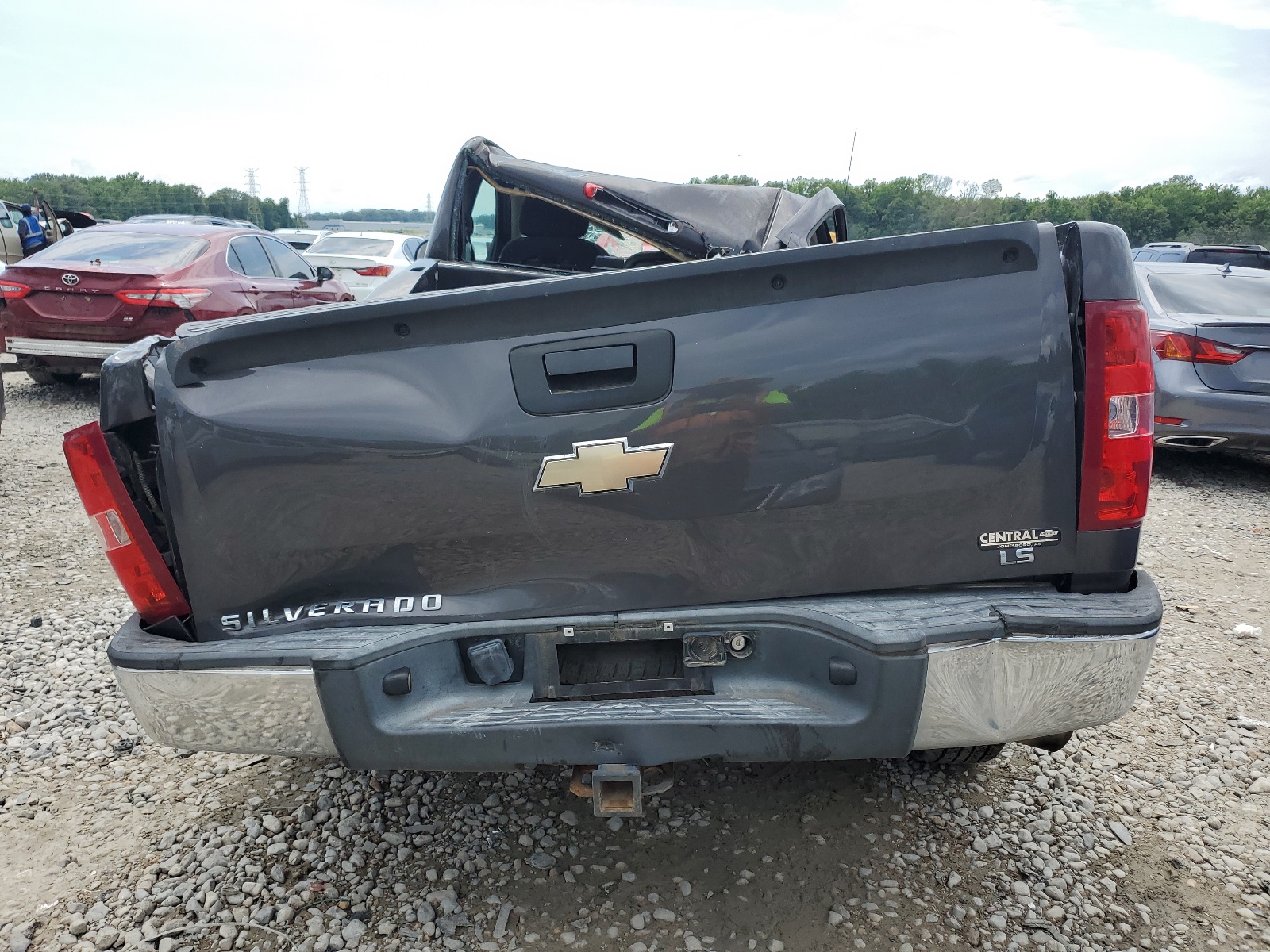 1GCPCPEX2AZ254729 2010 Chevrolet Silverado C1500