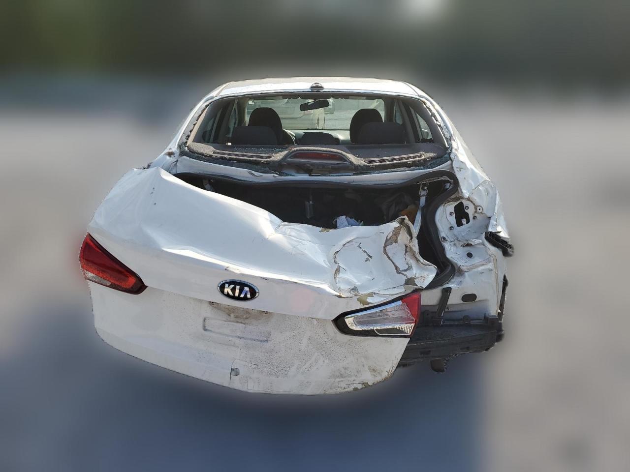 2017 Kia Forte Lx VIN: 3KPFK4A79HE026770 Lot: 58953484