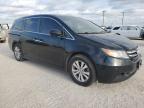 2016 Honda Odyssey Se на продаже в Andrews, TX - Hail