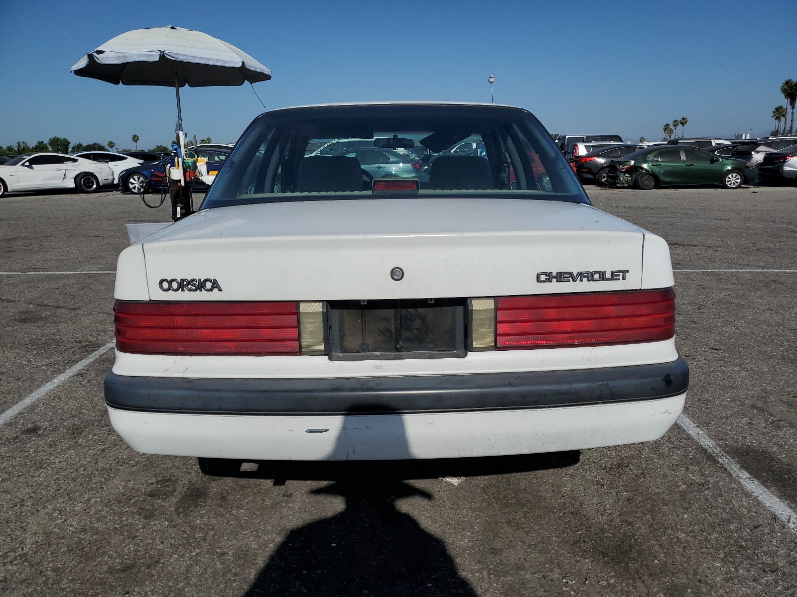 1G1LT534XPY160620 1993 Chevrolet Corsica Lt