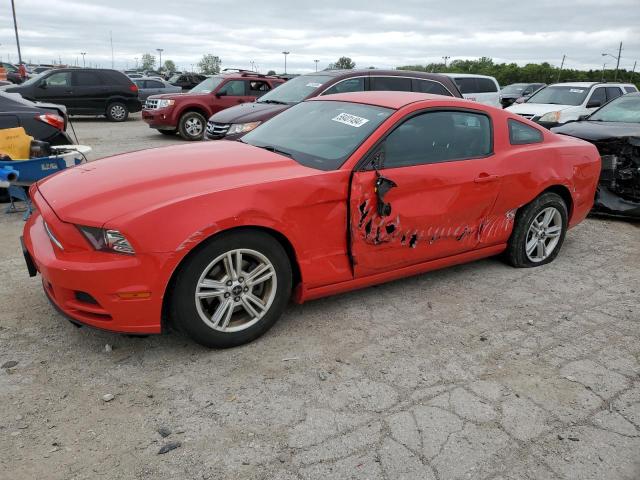 2013 Ford Mustang 