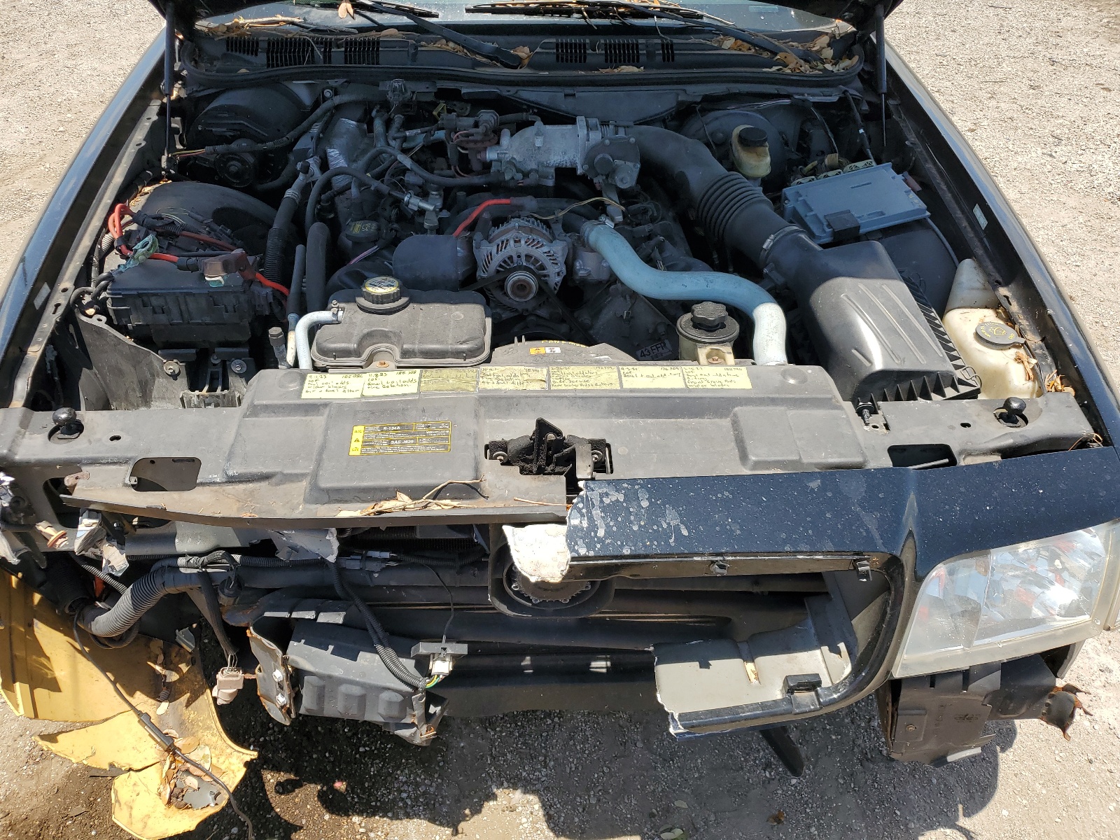 2FAHP71V89X109974 2009 Ford Crown Victoria Police Interceptor