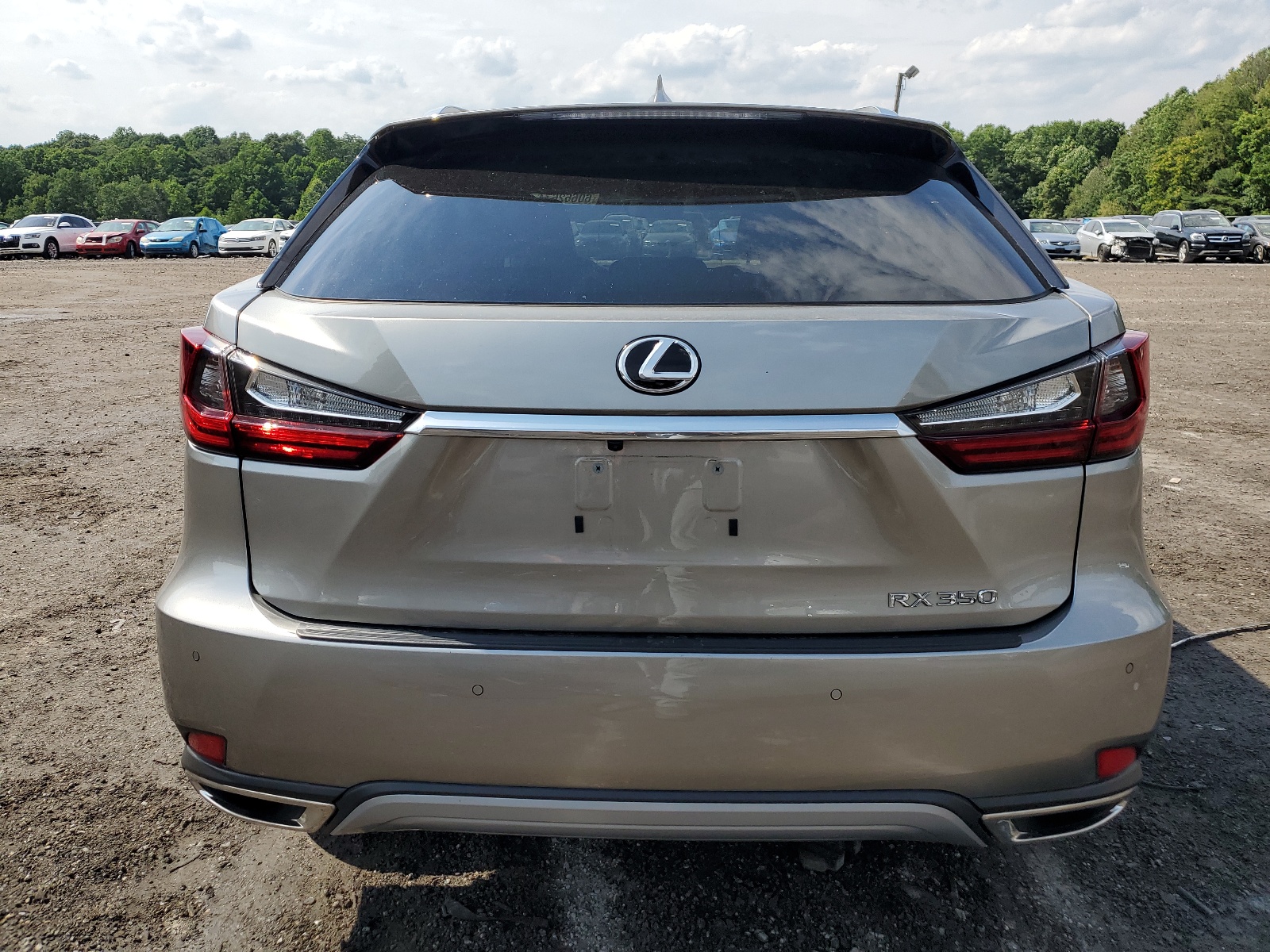 2T2HZMDA3NC318481 2022 Lexus Rx 350