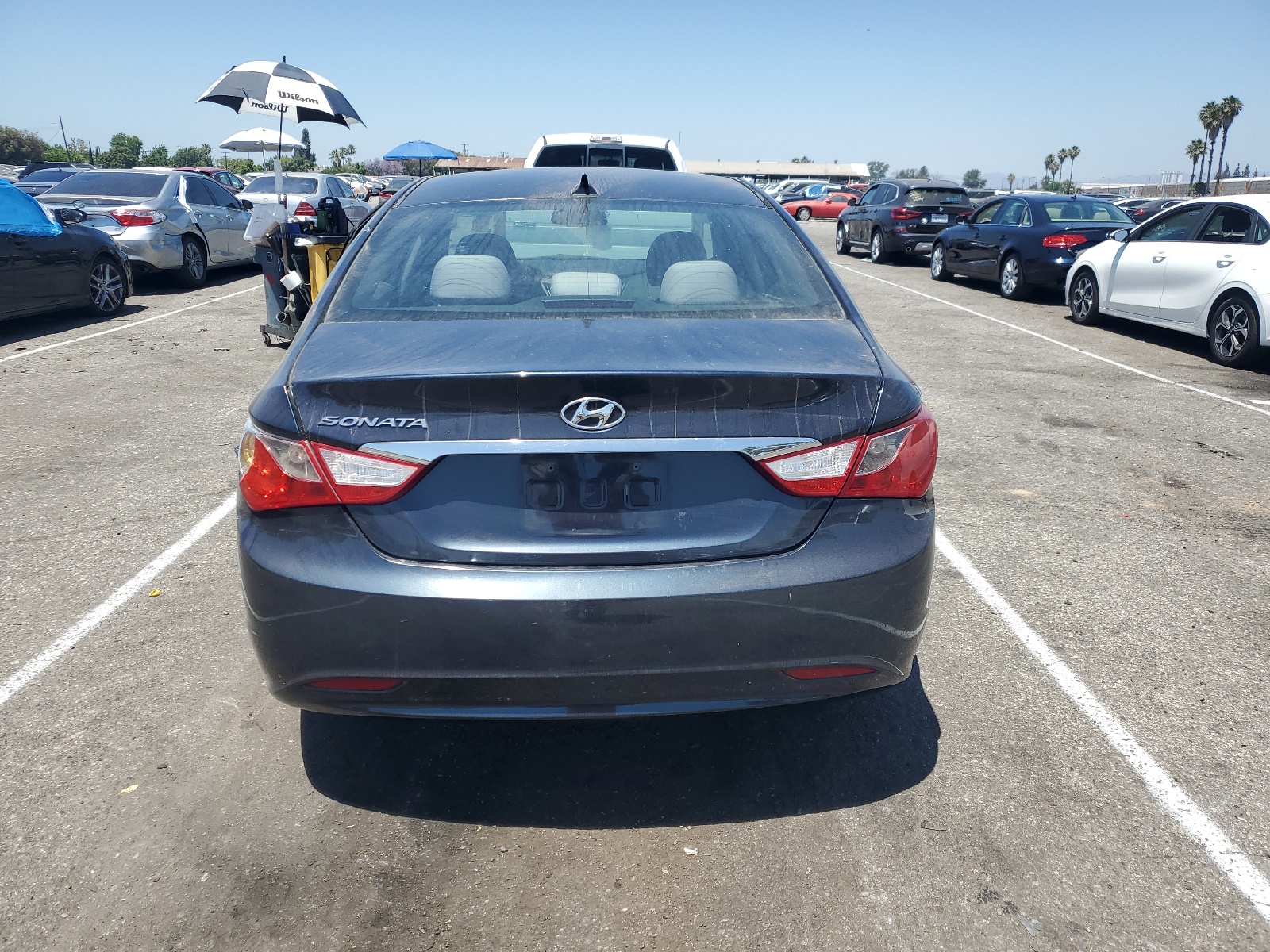 5NPEB4AC0DH560254 2013 Hyundai Sonata Gls