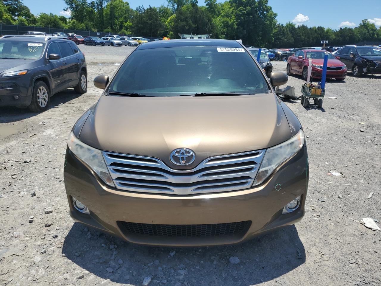 2010 Toyota Venza VIN: 4T3ZK3BB7AU031910 Lot: 57529084