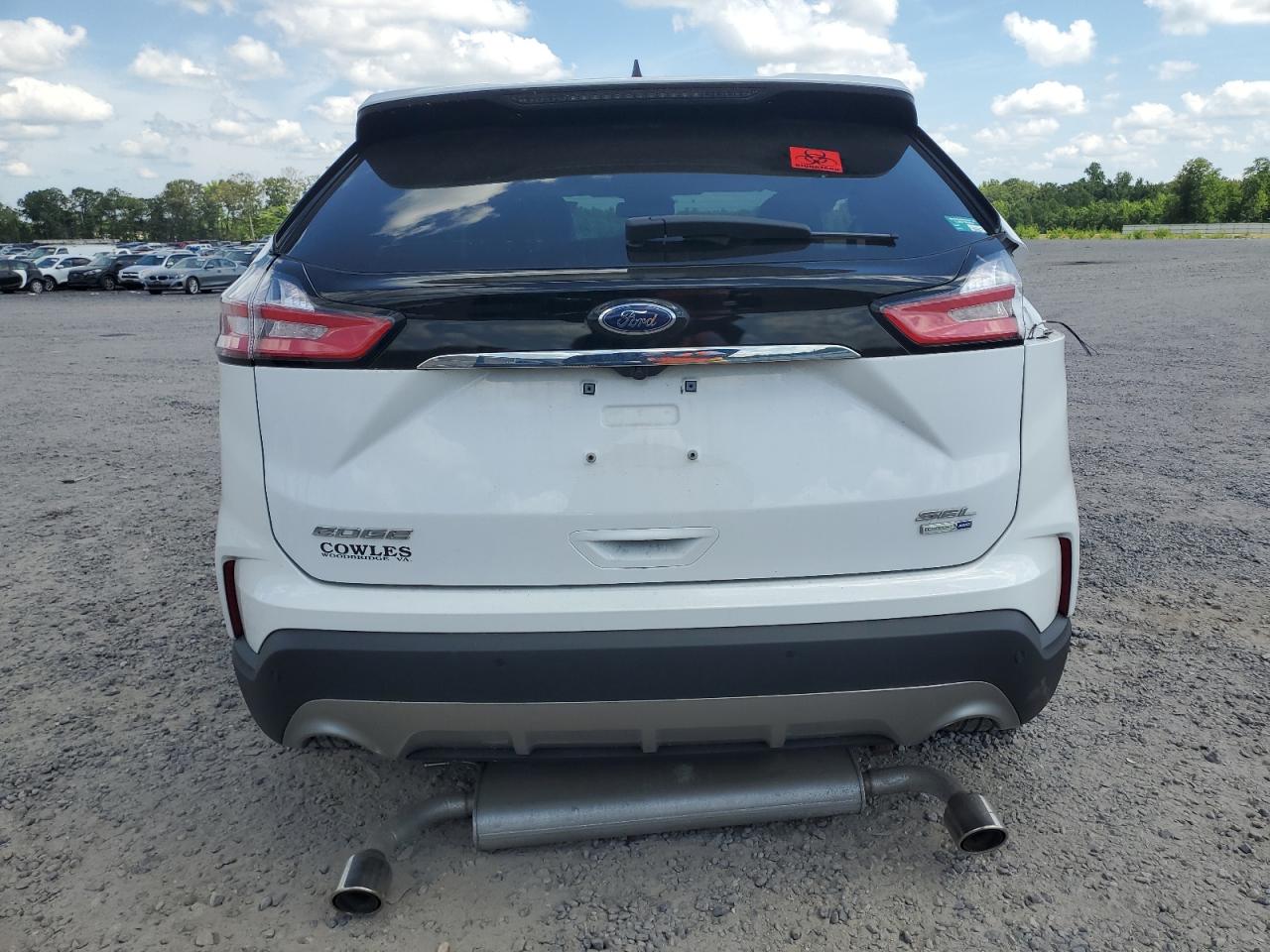 2020 Ford Edge Sel VIN: 2FMPK4J90LBB60410 Lot: 59882714