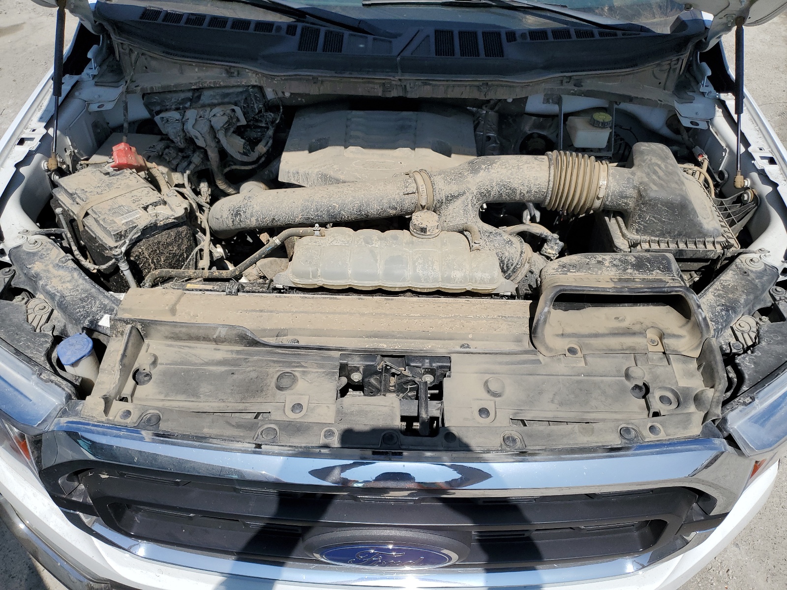 1FTNF1C83NKD24776 2022 Ford F150