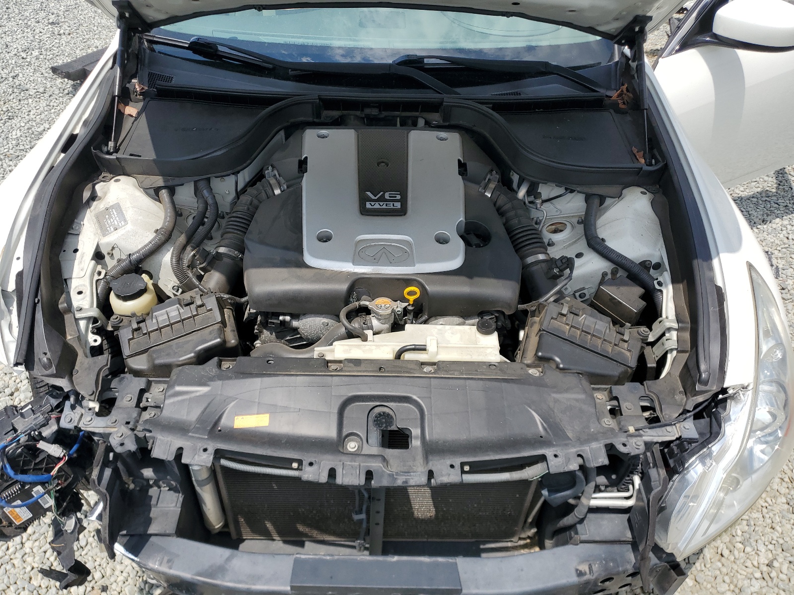 JN1CV6AR7AM251948 2010 Infiniti G37