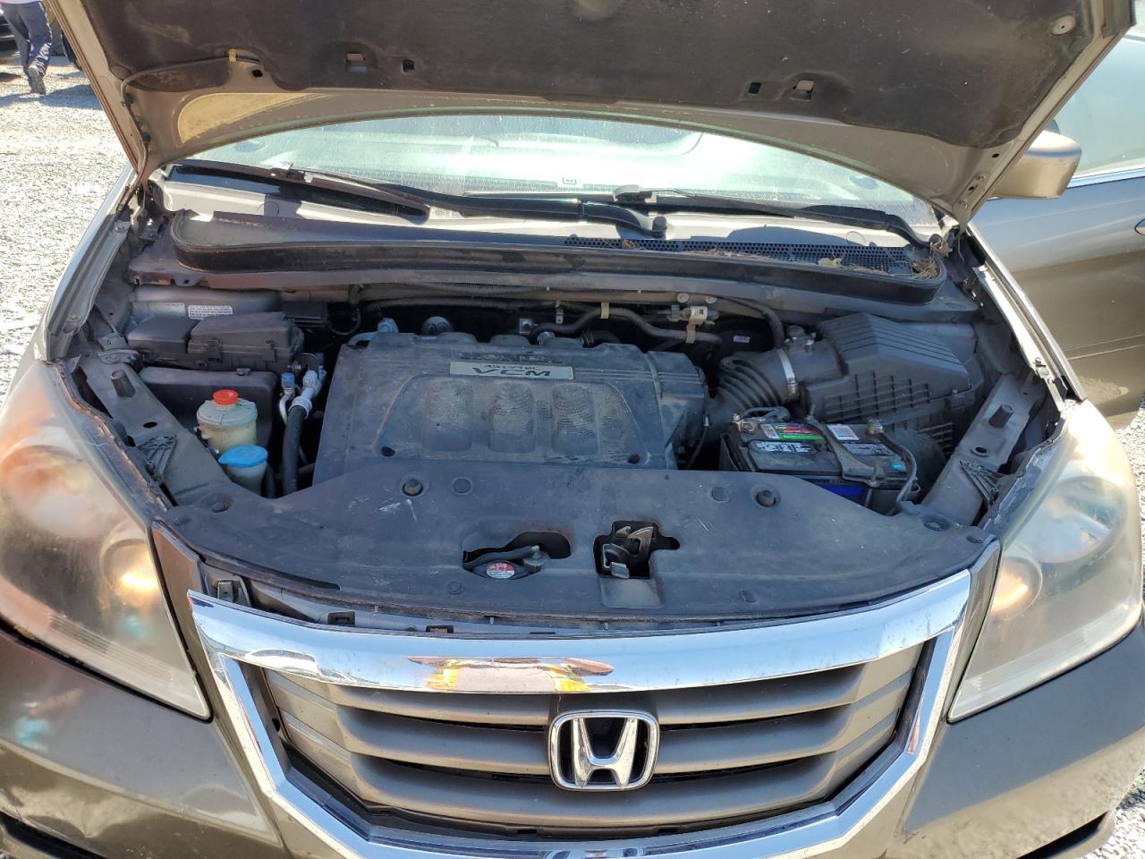 2010 Honda Odyssey Exl VIN: 5FNRL3H79AB037374 Lot: 58651244