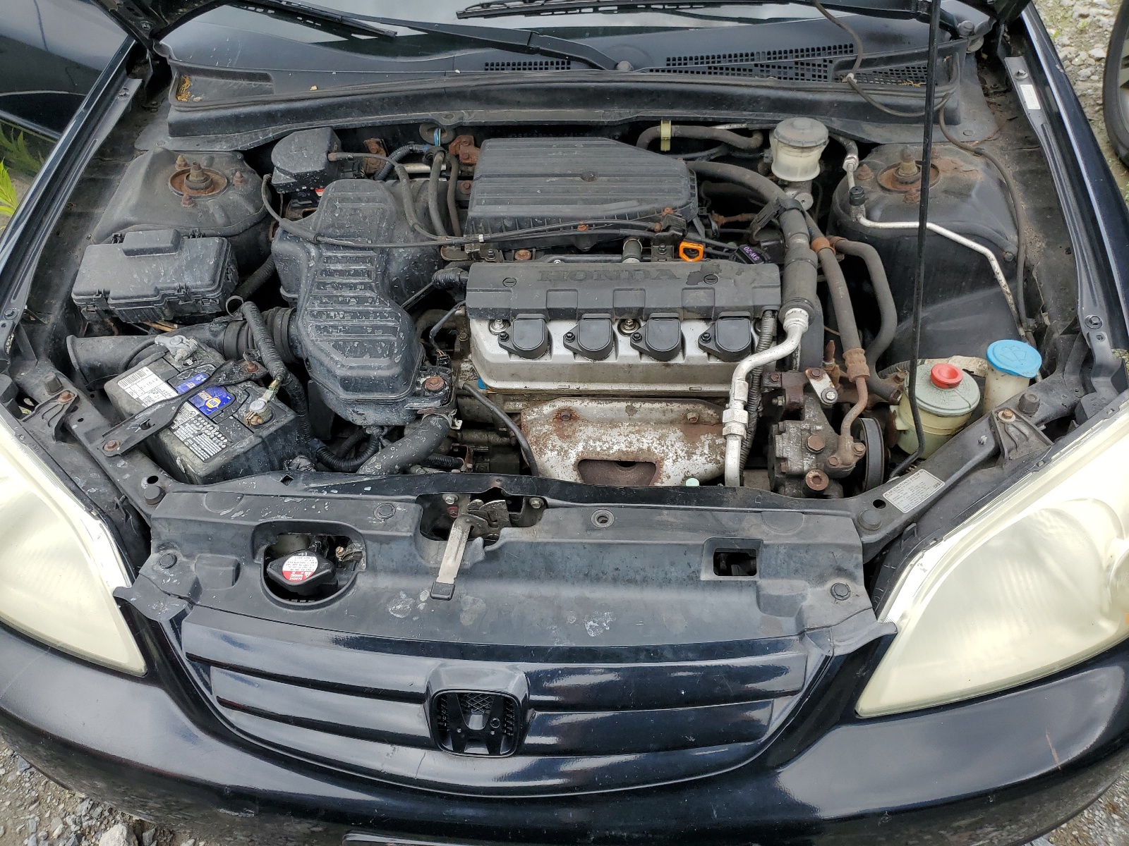 1HGES16503L024179 2003 Honda Civic Lx