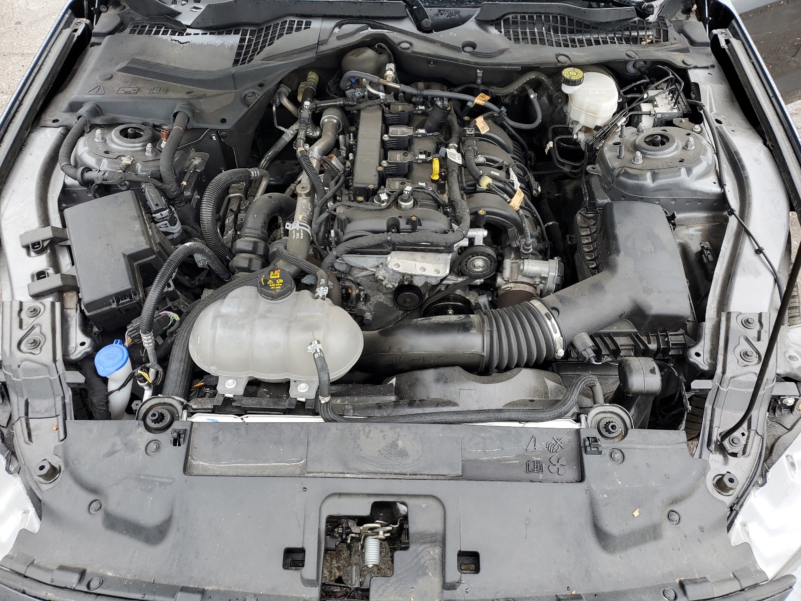 1FA6P8TH7N5106905 2022 Ford Mustang