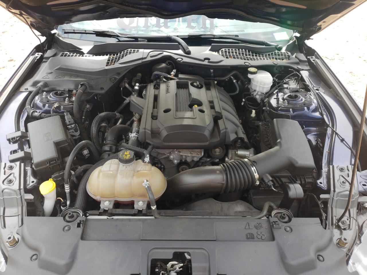 2019 Ford Mustang VIN: 1FA6P8TH4K5199412 Lot: 57448124