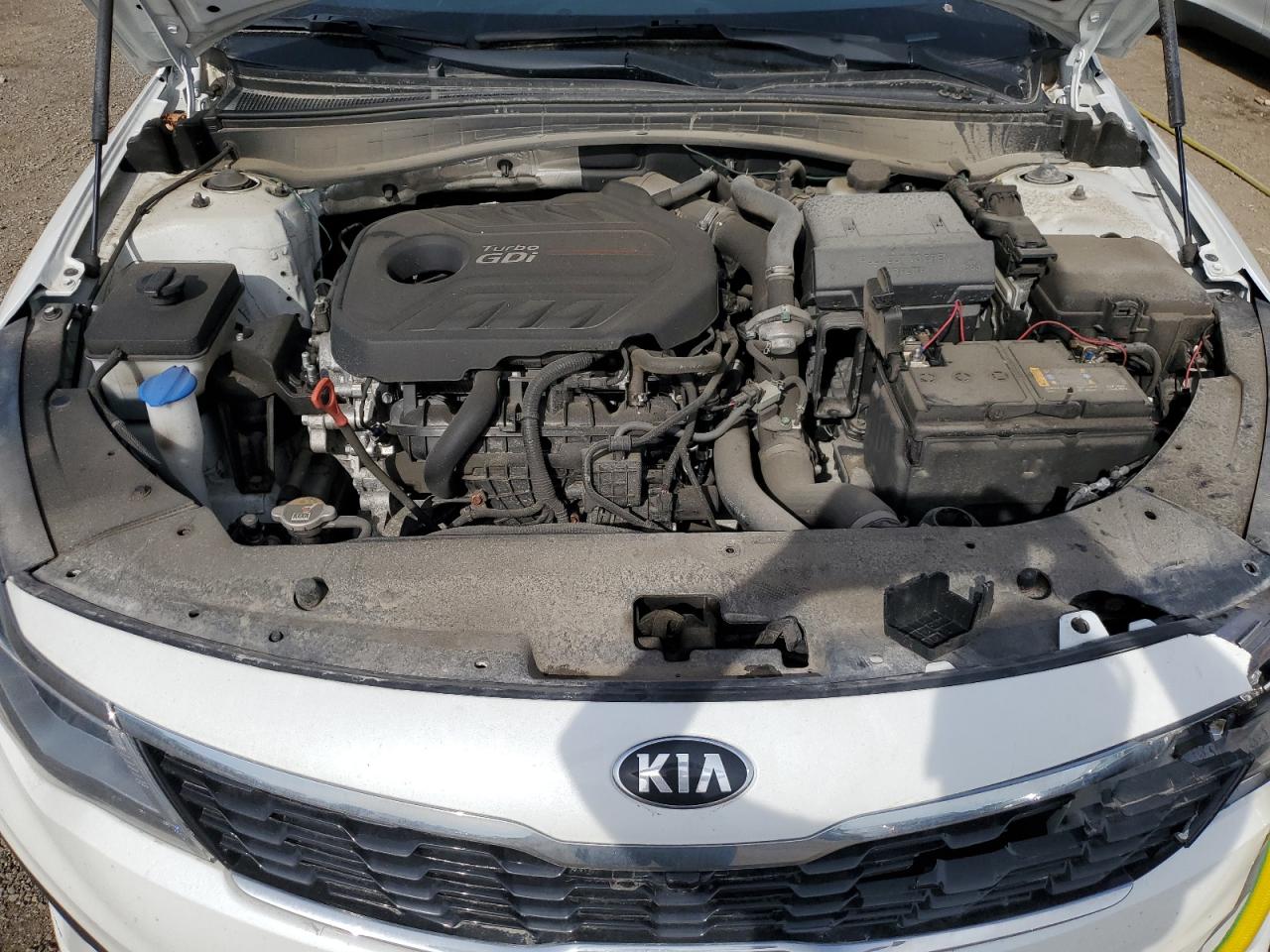 2019 Kia Optima Sxl VIN: 5XXGV4L22KG289050 Lot: 60918674