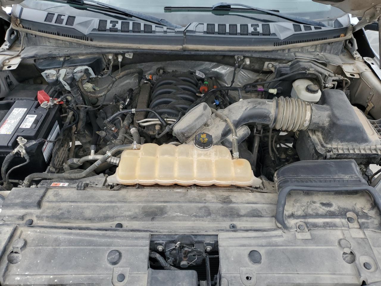 2019 Ford F150 Super Cab VIN: 1FTFX1E55KKC06910 Lot: 60052444