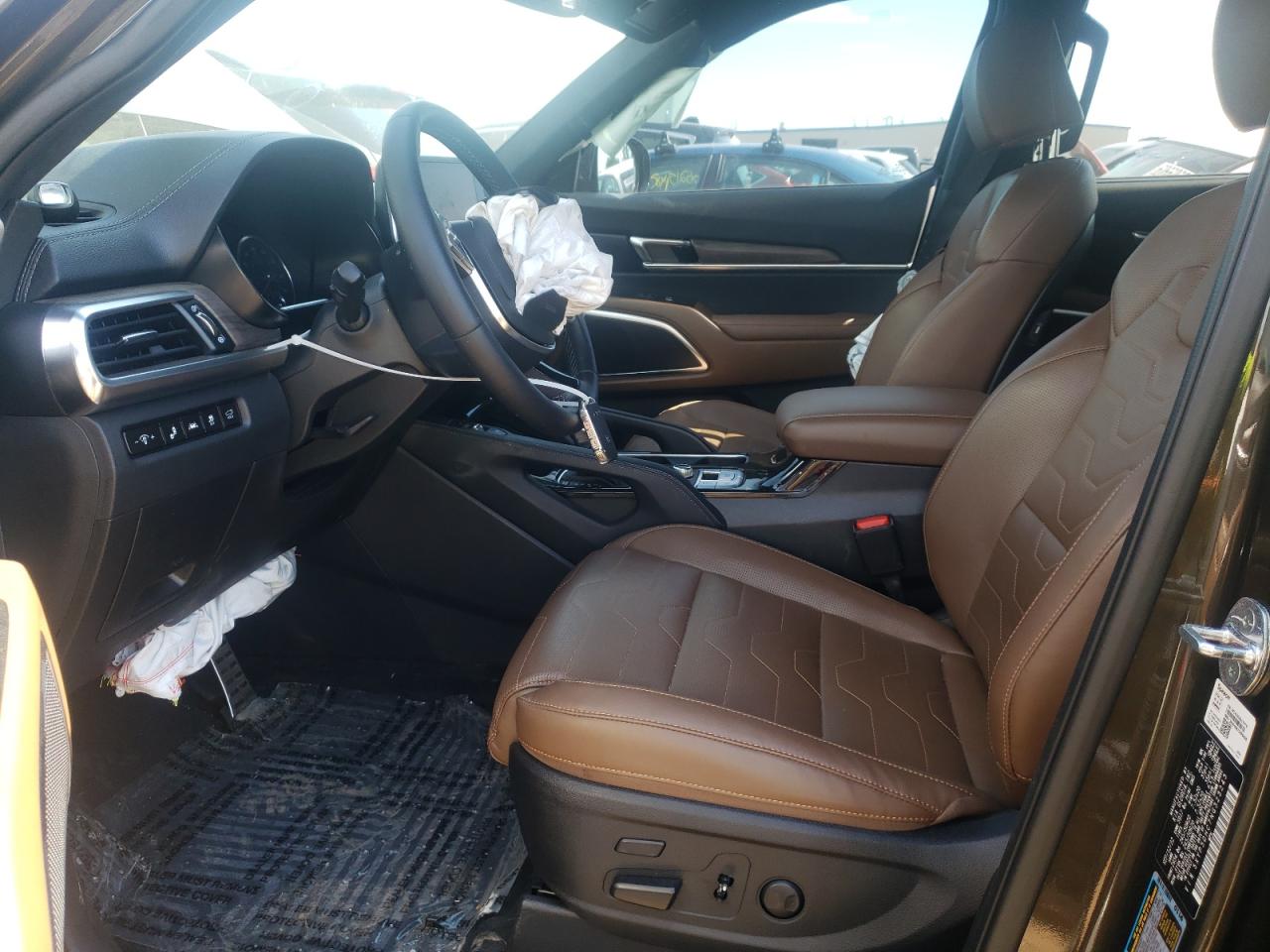 2022 Kia Telluride Sx VIN: 5XYP5DHC7NG323243 Lot: 60482914