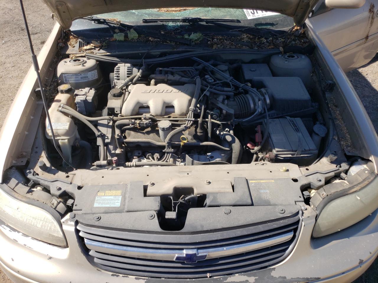 2001 Chevrolet Malibu Ls VIN: 1G1NE52J216152587 Lot: 57162344