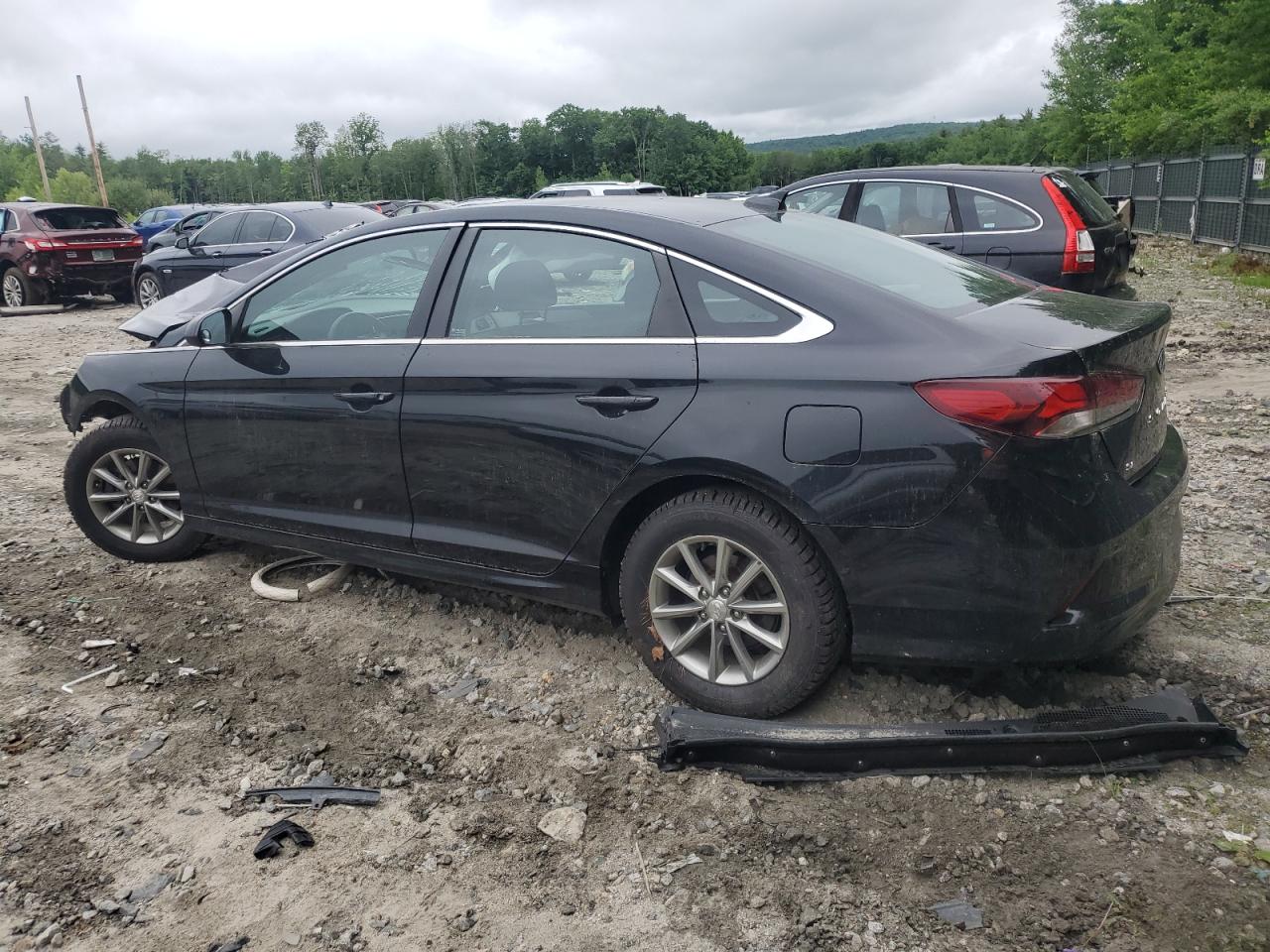 5NPE24AF7KH741648 2019 HYUNDAI SONATA - Image 2