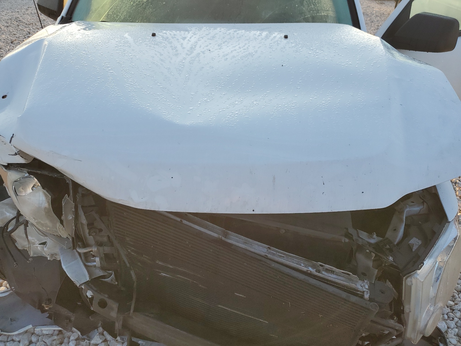 1FMCU9DG8CKB18654 2012 Ford Escape Xlt